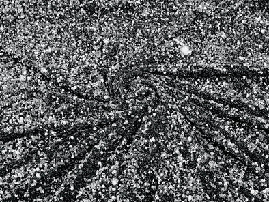 Silver Black 54" Stretch Velvet with Luxury Sequins All Over 5mm Shining Sequins 2-Way Stretch. Sold by the yard.